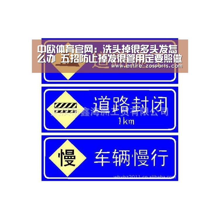 zoty体育