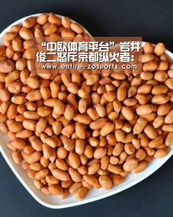 “中欧体育平台”岩井俊二怒斥京都纵火者:把人命当草芥 天理难容(图3) 中欧体育平台