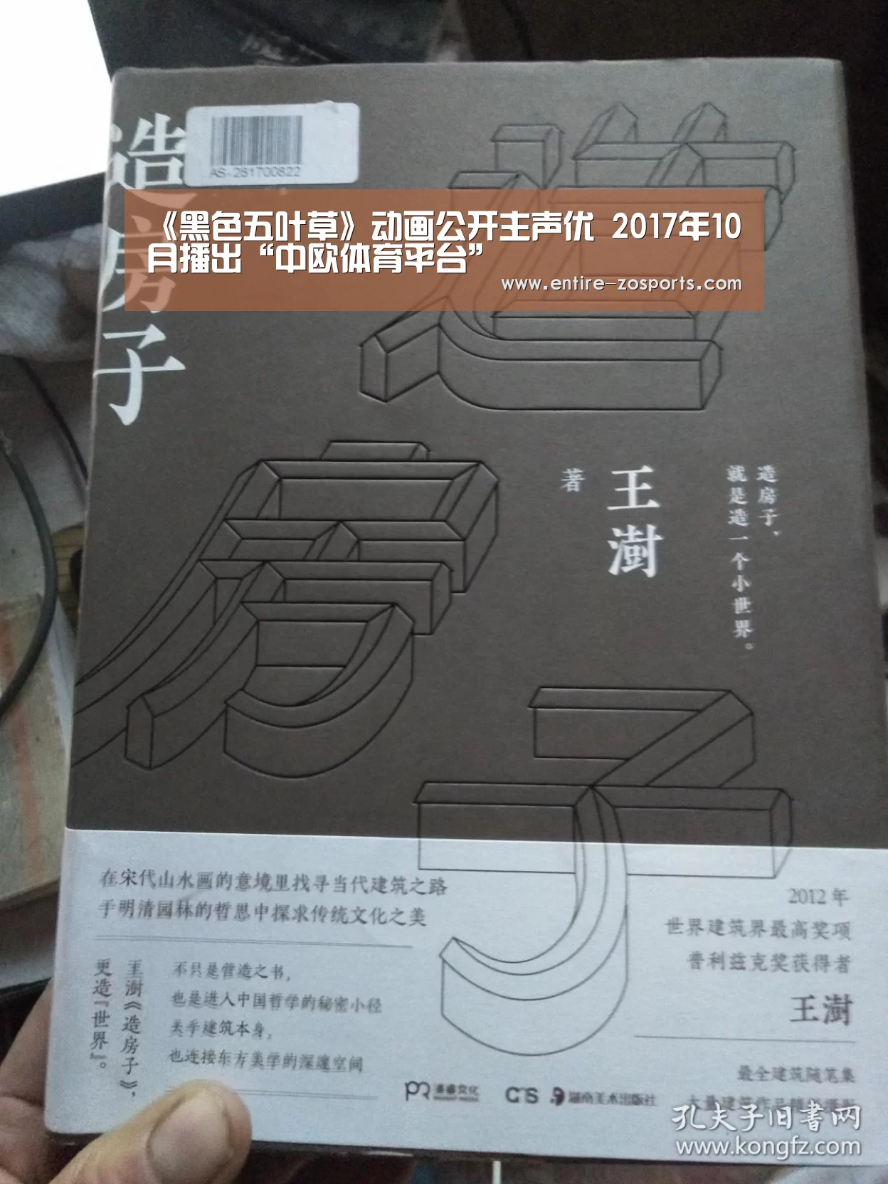 《黑色五叶草》动画公开主声优 2017年10月播出“中欧体育平台”(图1) 中欧体育平台
