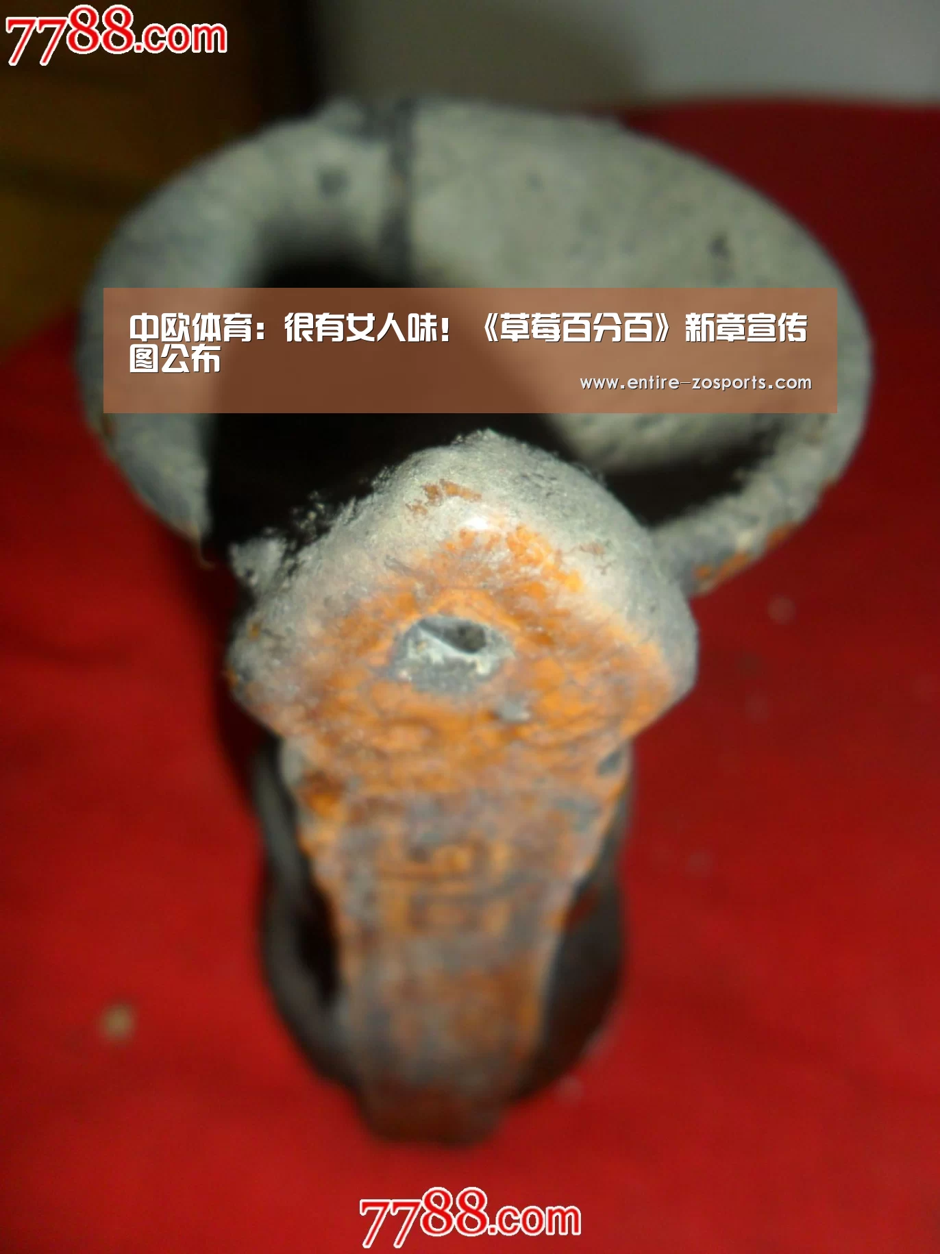 中欧体育:很有女人味!《草莓百分百》新章宣传图公布(图3) zoty体育