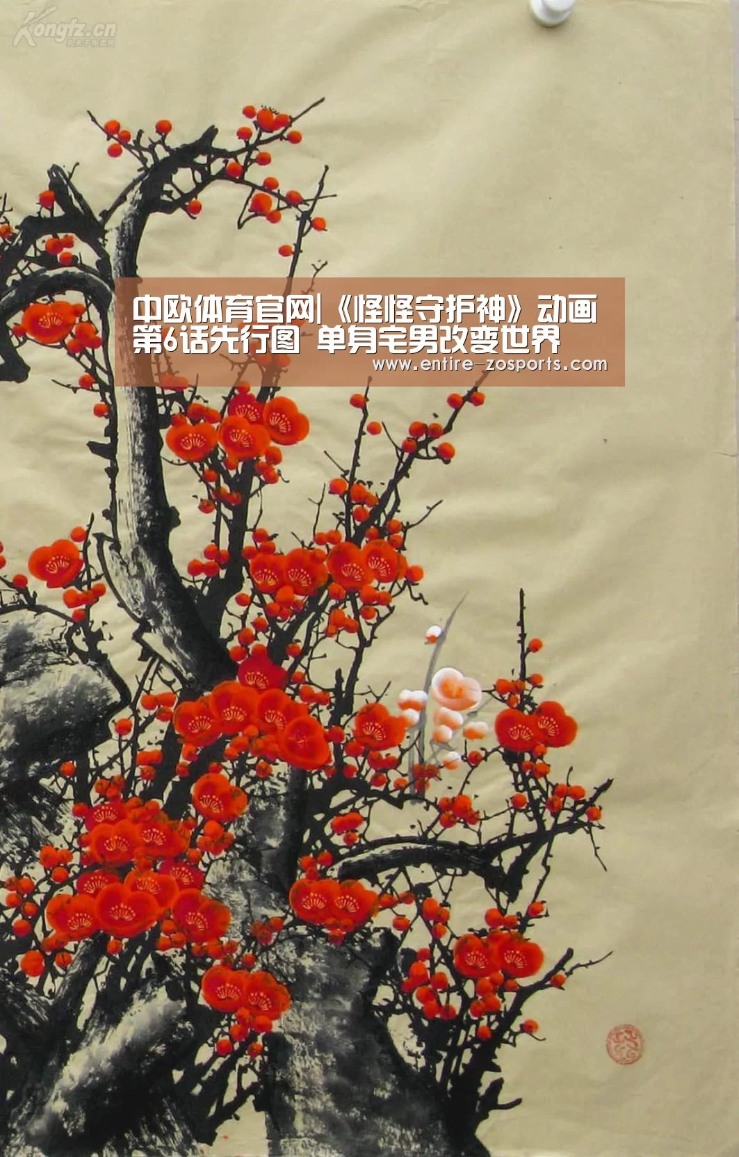 中欧体育