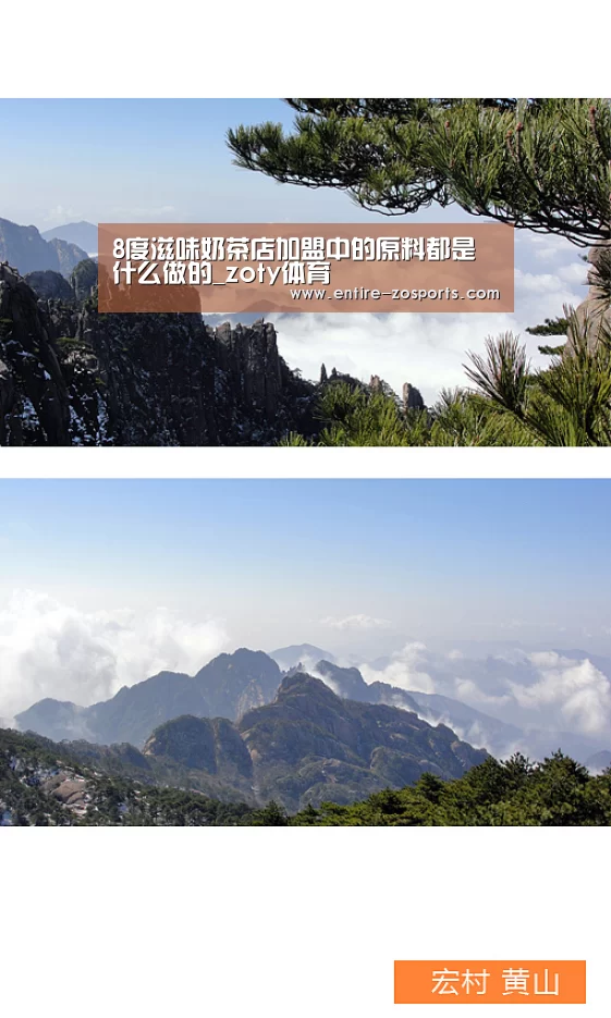 8度滋味奶茶店加盟中的原料都是什么做的_zoty体育(图4) 中欧体育