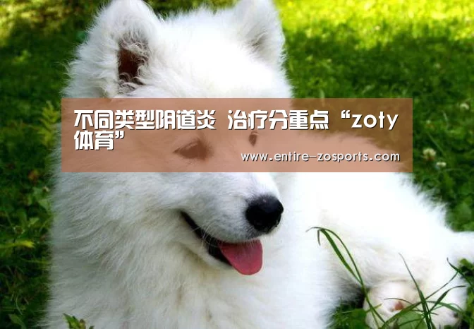 不同类型阴道炎 治疗分重点“zoty体育”(图1) zoty体育