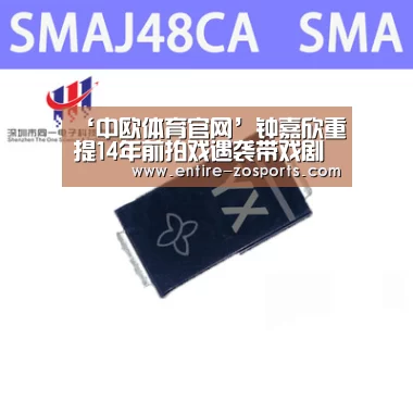 ‘中欧体育官网’钟嘉欣重提14年前拍戏遇袭带戏剧色彩 与杨思琦版本有出入(图1) 中欧体育官网