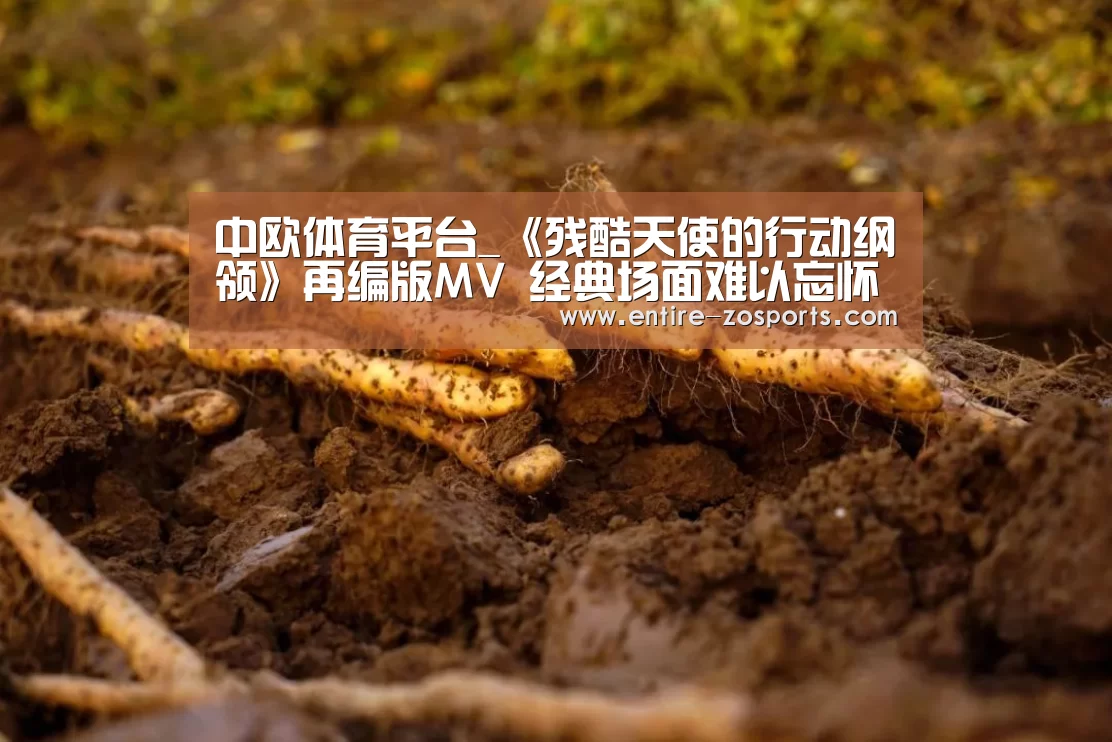 中欧体育平台_《残酷天使的行动纲领》再编版MV 经典场面难以忘怀(图1) 中欧体育官网